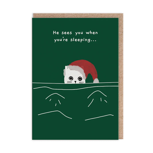 An illustration of a cat in a Santa hat peers over a ledge, with text above reading, He sees you when you’re sleeping...—a purrfectly amusing Christmas card for festive humour on a dark green background.
