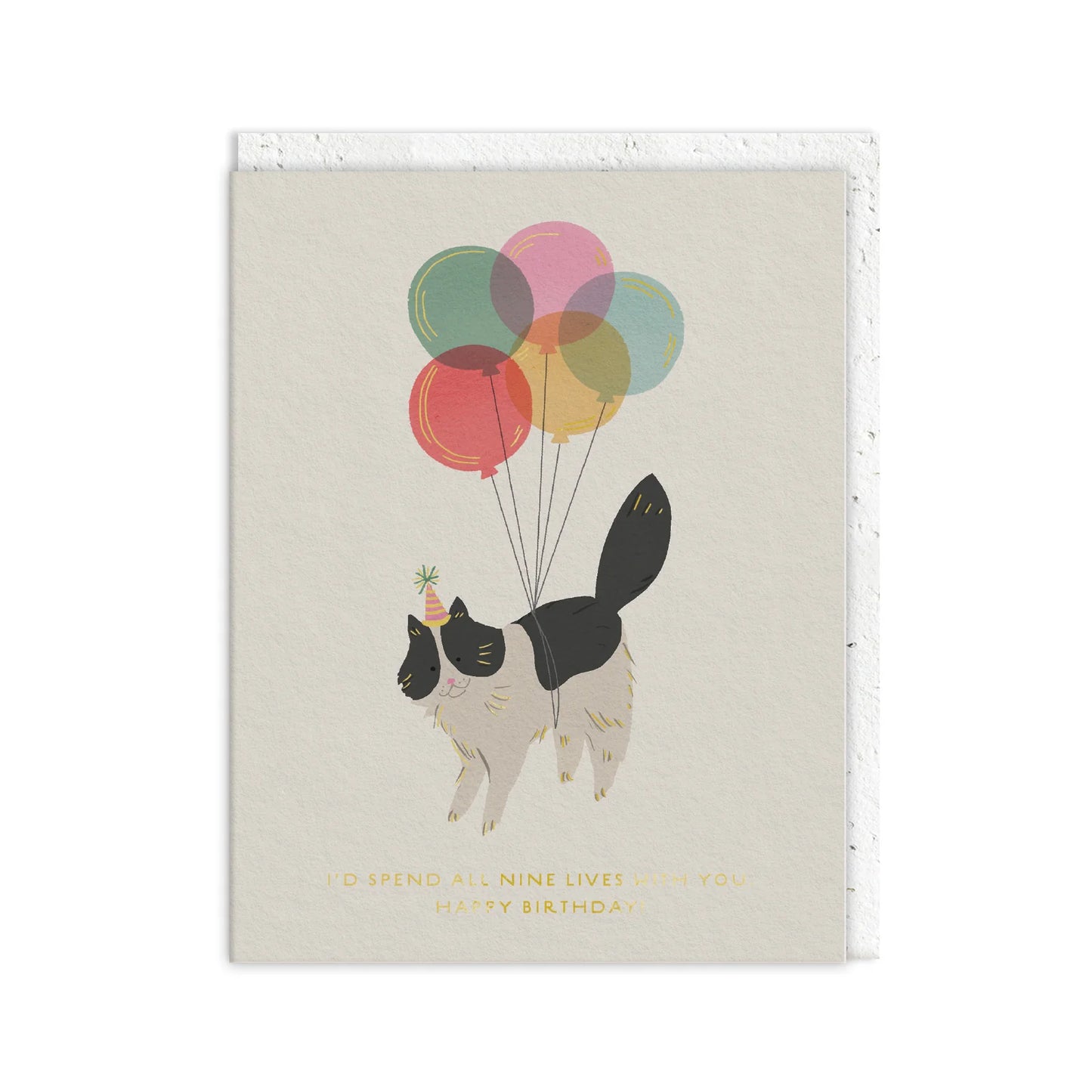 Whimsical greetings card showing a cat in a party hat floating with six colourful balloons, with the text I’d spend all nine lives with you. Happy Birthday. Ideal for cat lovers.