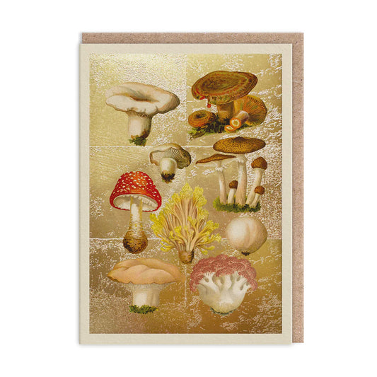 This Greeting Card is perfect for nature lovers, featuring a Fungi Collection of illustrated mushrooms such as red-capped and coral-shaped varieties on a textured gold background.