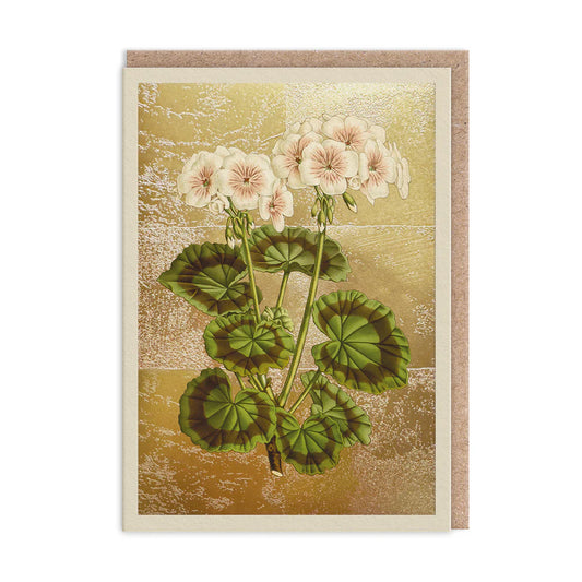 A charming A6-sized illustration of a flowering plant, showcasing white blooms and green leaves against a textured golden background, exuding floral flair—a perfect Geranium Greetings Card.