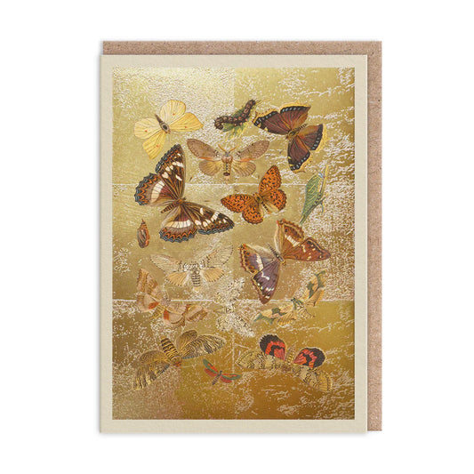 A stunning Lepidoptera Greeting Card featuring vibrant butterfly art against a metallic gold backdrop, perfect for any occasion. Presented by Ohh Deer, it exudes charm and elegance.