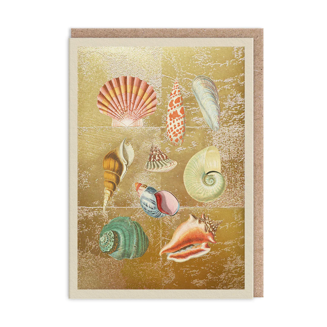 The Ohh Deer Shell Collection Greeting Card exudes seaside vibes, featuring illustrated seashells elegantly set against a luxurious gold textured background.