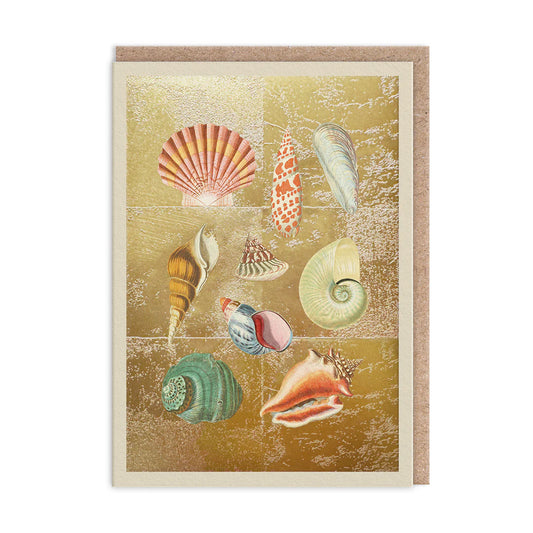 The Ohh Deer Shell Collection Greeting Card exudes seaside vibes, featuring illustrated seashells elegantly set against a luxurious gold textured background.