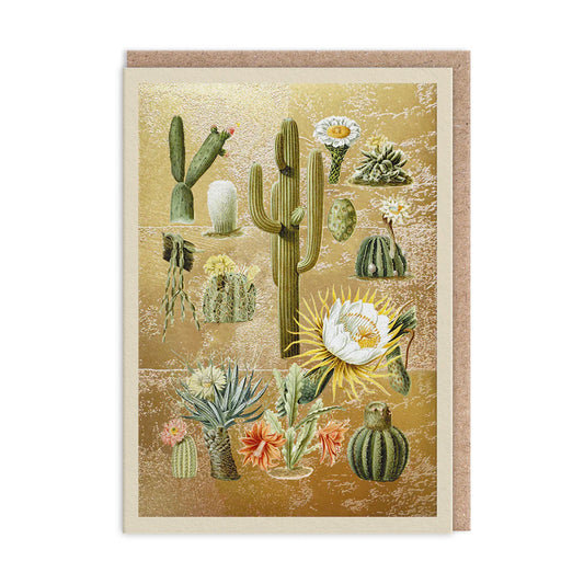 Ohh Deer presents a delightful A6 greeting card featuring various illustrated cacti and succulents set against a shimmering gold background.