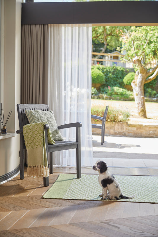 A small black and white dog sits on a green rug indoors, near a wooden chair with eco-friendly cushions. Sunlight streams through a large window revealing a view of the garden, perfectly capturing the essence of sustainable home decor.