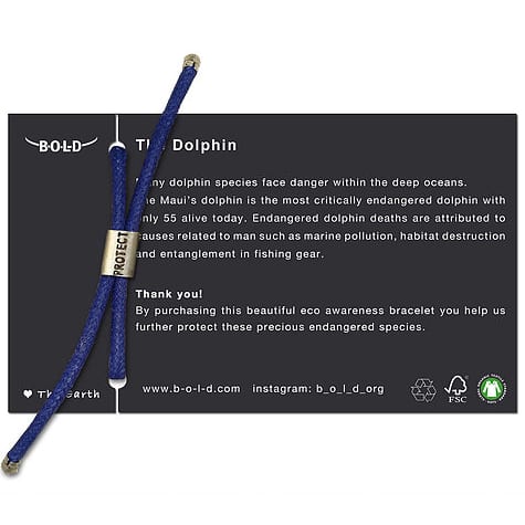 B-O-L-D Dolphin Bracelet