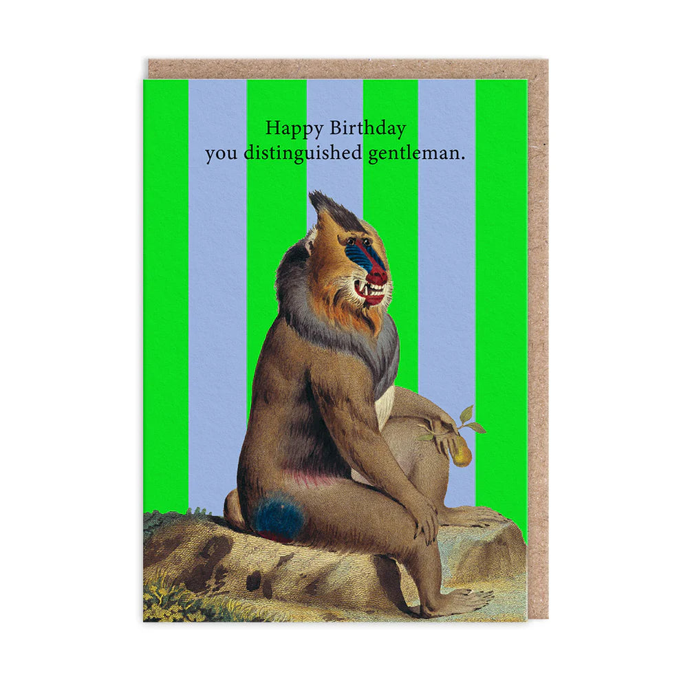 On this A6-sized Distinguished Gentleman Birthday Card, a seated mandrill in a suit elegantly holds a leaf, wishing Happy Birthday you distinguished gentleman against a green and blue striped background.