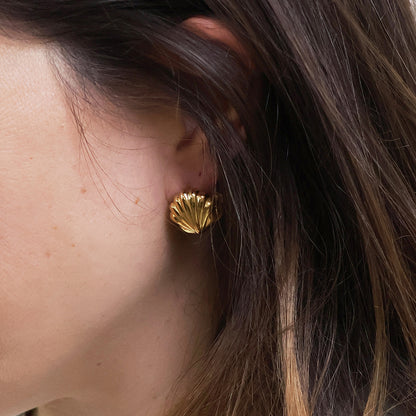 Close-up of a person's ear adorned with a gold clam shell earring, ideal as seaside jewellery; brown hair partially visible.