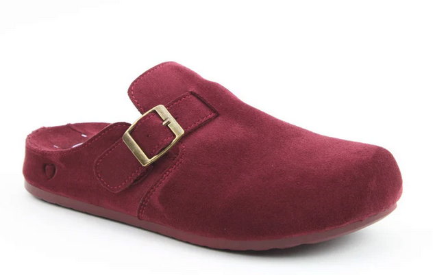 A maroon suede slip-on clog featuring a gold buckle on the side, this vegan-friendly shoe is displayed against a plain white background.