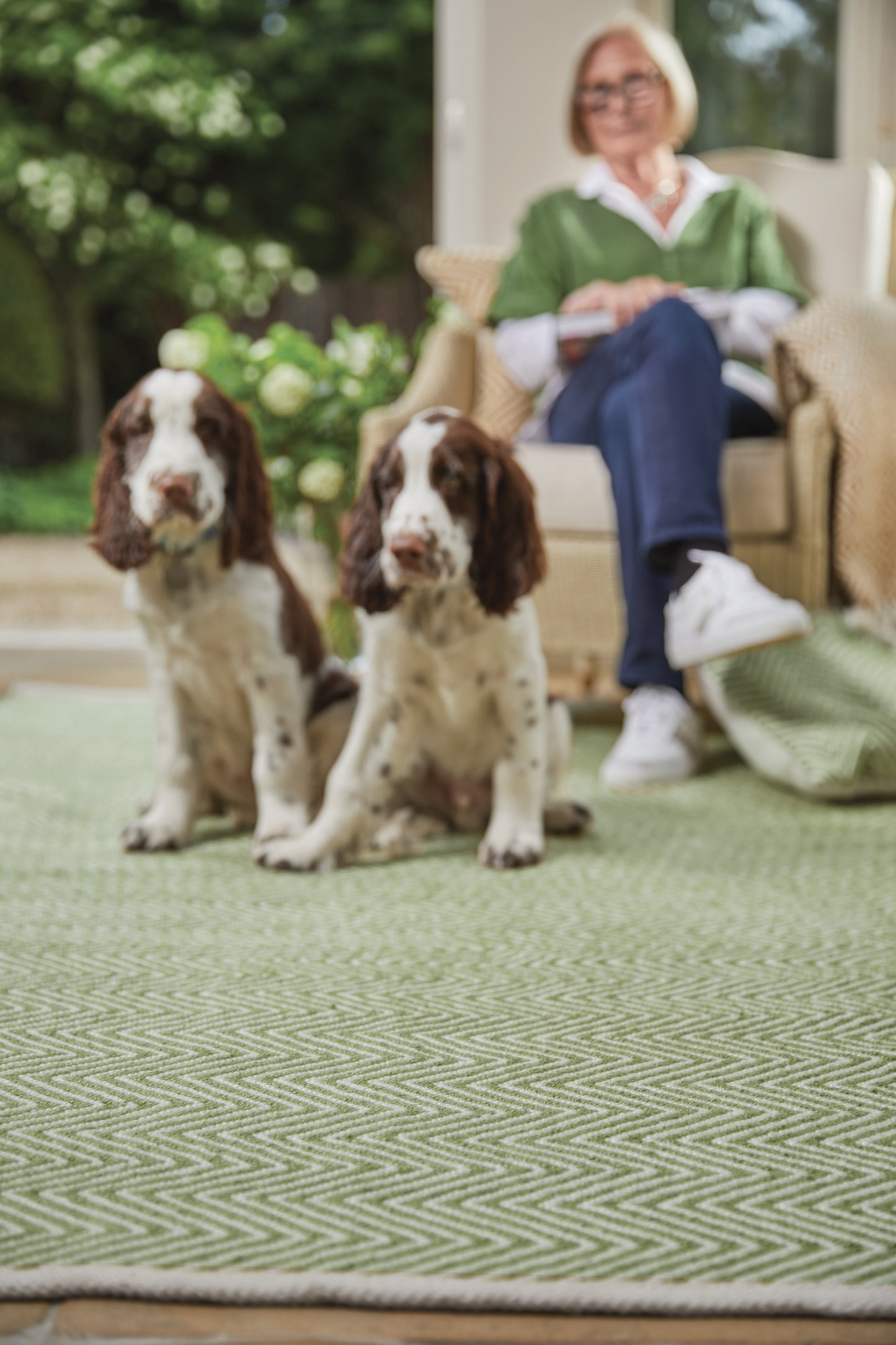 Two brown and white dogs sit on a green herringbone washable rug, made from recycled plastic bottles, with a person seated in a chair in the background.