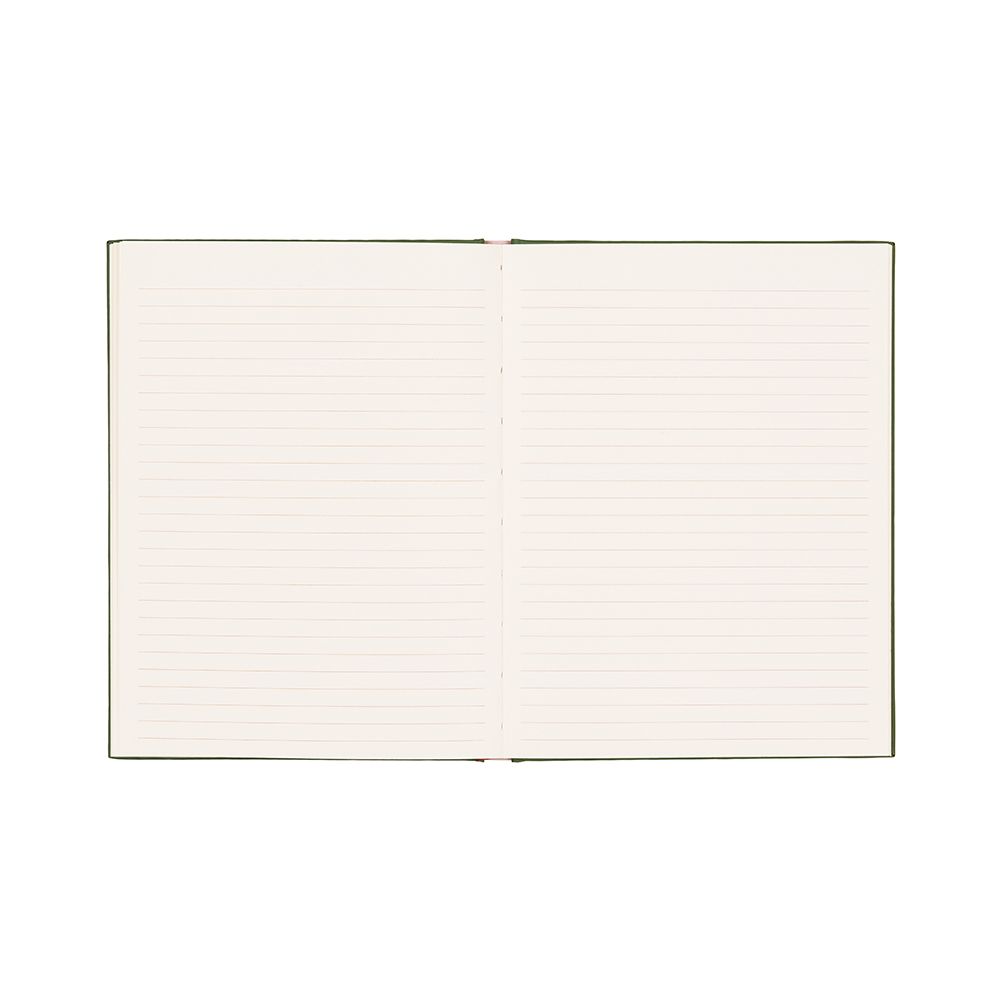 An open hardback diary showing two blank, lined pages against a white background.